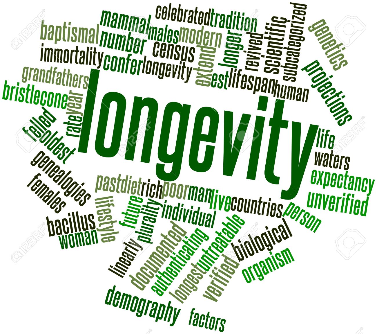 Longevity Meaning